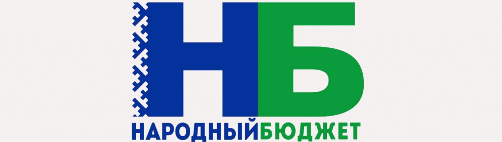 Народный бюджет