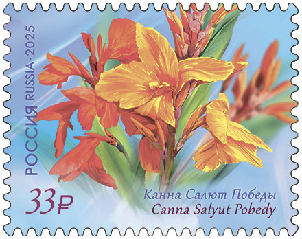 Kanna-Salyut-Pobedy.jpg