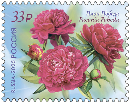Pion-Pobeda.jpg