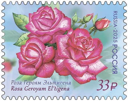 Roza-Geroyam-Eltigena.jpg