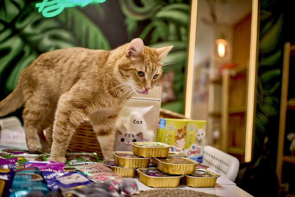 DSC00097.jpg DSC00097.jpg