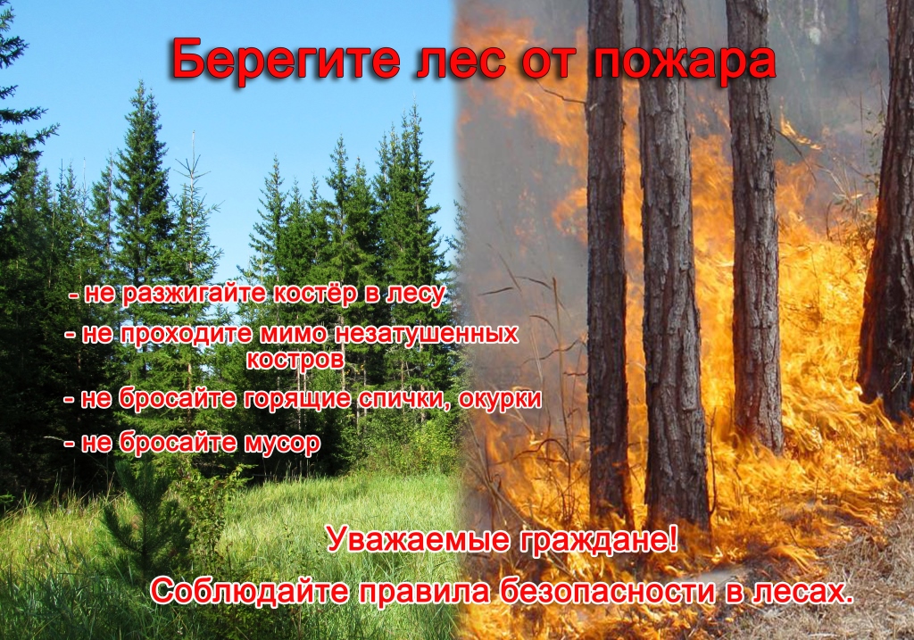 beregite-les-ot-pozhara.jpg beregite-les-ot-pozhara.jpg