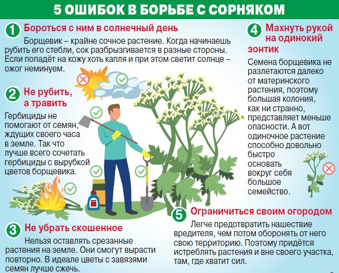 3d7b443d17a1072f694123f84440711a(1).jpg 3d7b443d17a1072f694123f84440711a(1).jpg