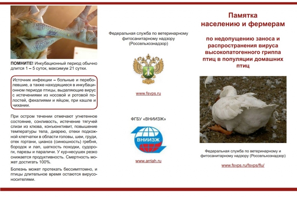 pamyatka3.jpg pamyatka3.jpg