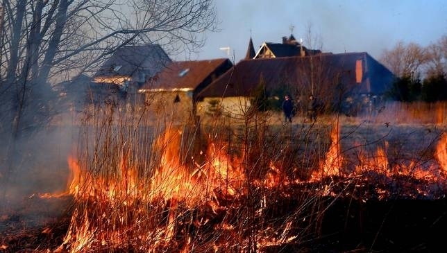 Kartinka.jpg