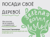 Посади своё дерево!