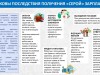 Скажи «нет» «серой» зарплате